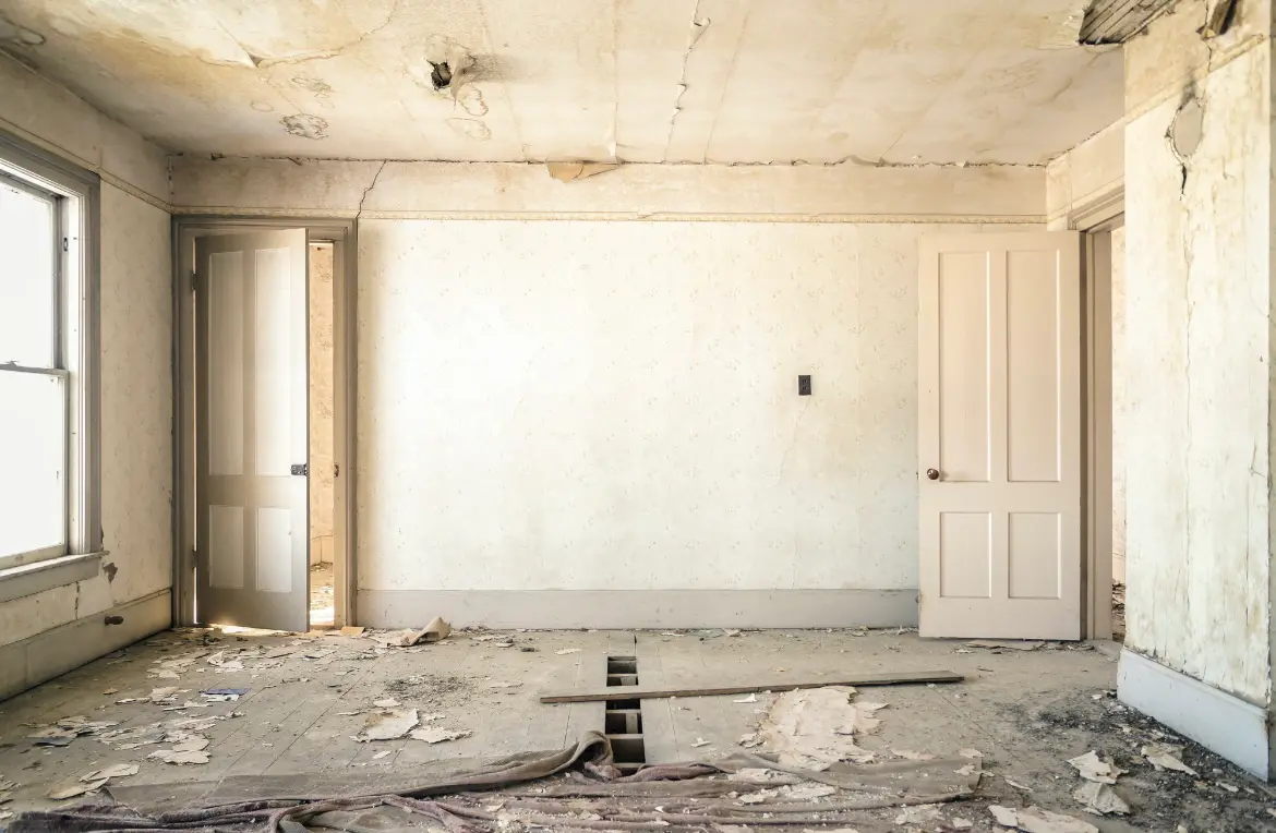 Waste disposal crew managing a cleanout project in Central Park